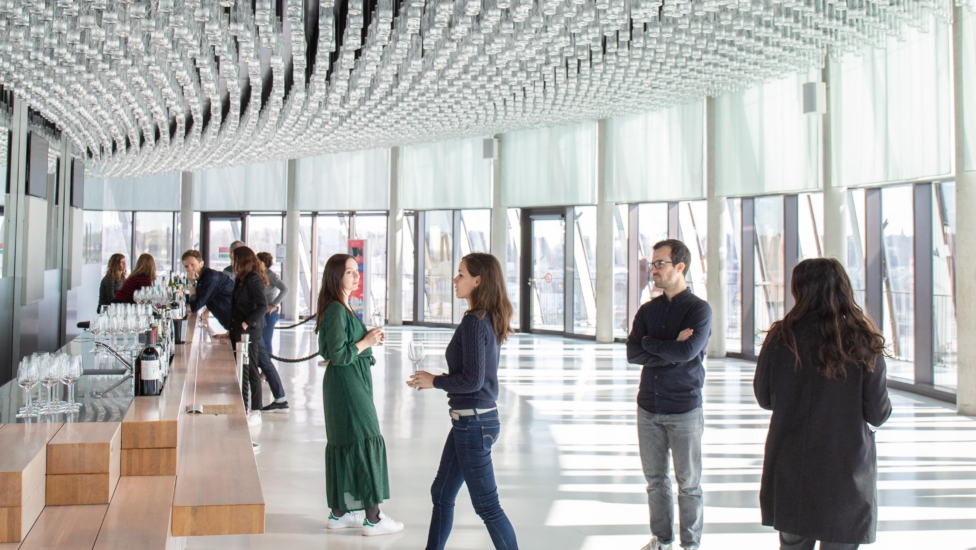 belvedere_web2_14.02.20_rav-2