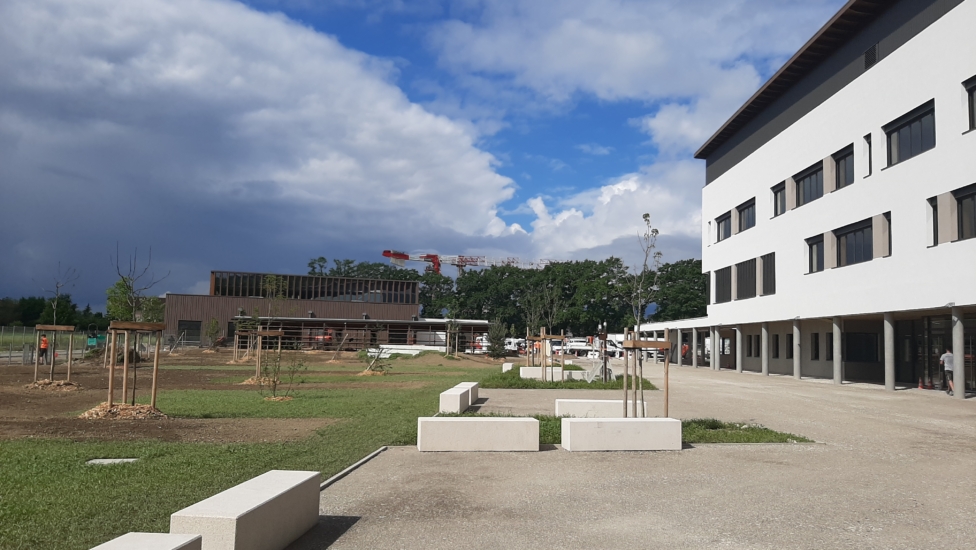 Peutz_20240611_101427