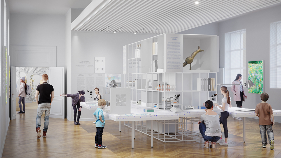 musée zoologique 1