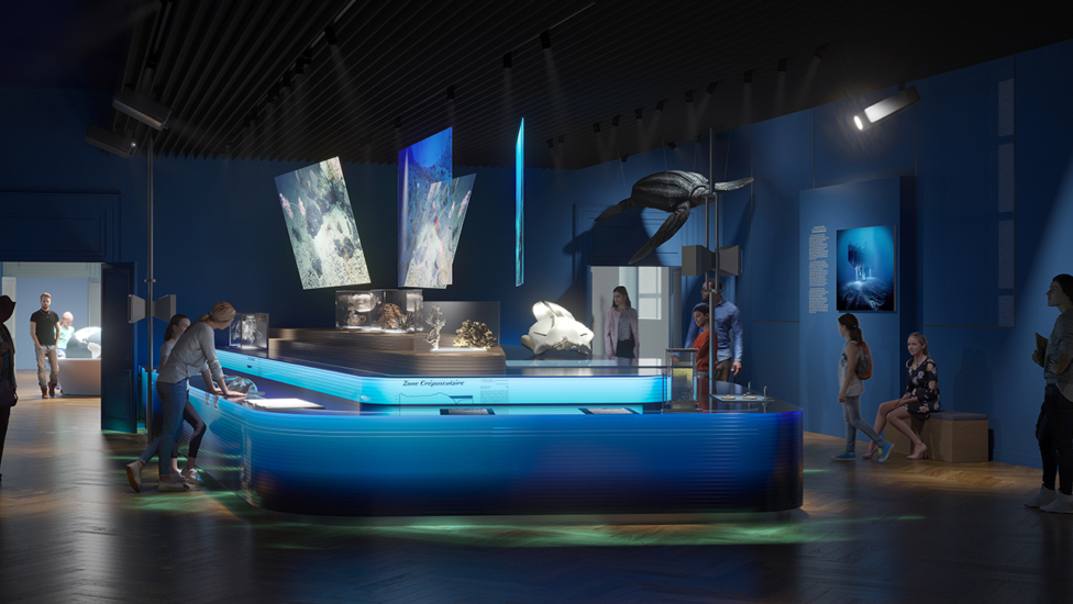 musée zoologique 2