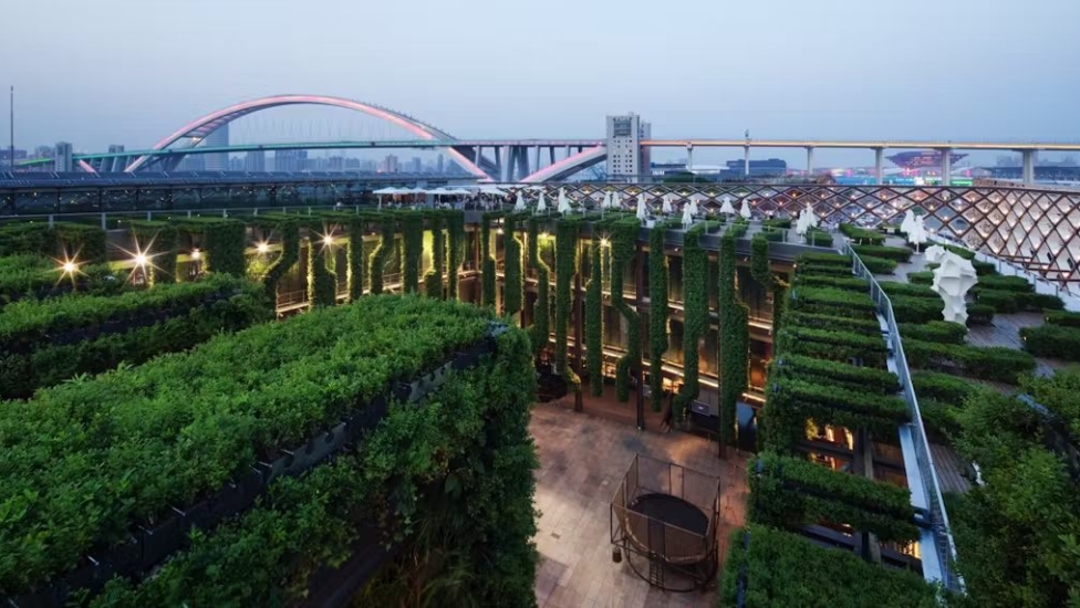 shangai 3